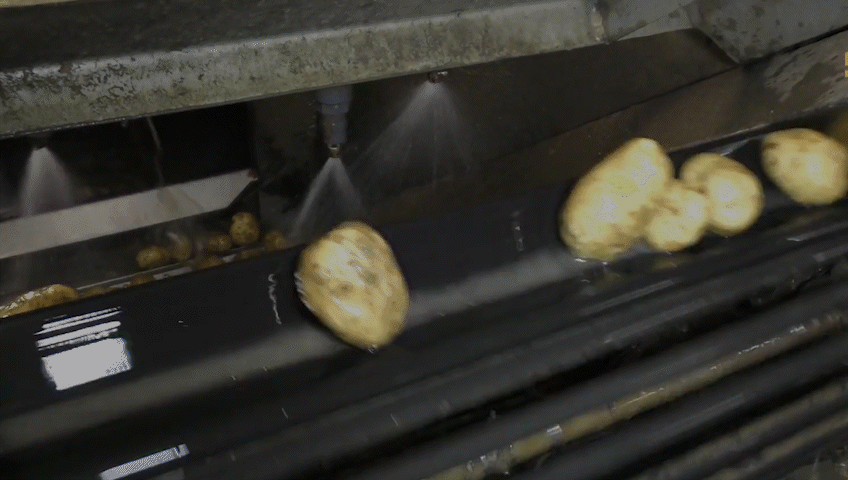 GIF Patate